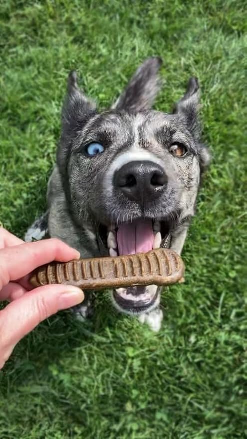 Jiminy's Dental Chews for Dogs, Cinnamon, Medium, 12ct (Pack of 6)