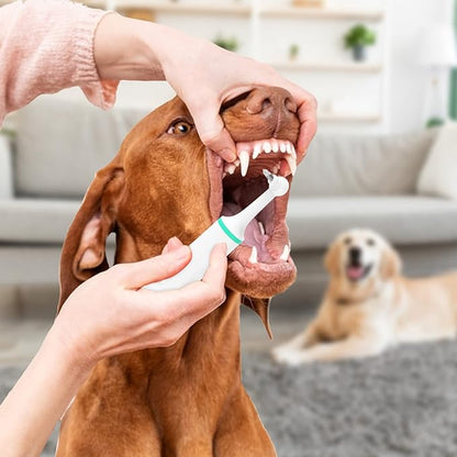 Life Basis Electric Pet Toothbrush Head, Pet Teeth Cleaning Replacement Heads for Dog Cats