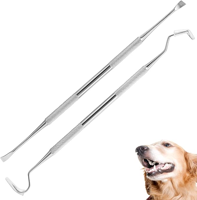 Dog Tooth Scaler and Scraper - 2 Pack Upgrade Pet Tarter Remover with Different Angles Double Head, Stainless Steel Teeth Cleaning Tools for Dogs