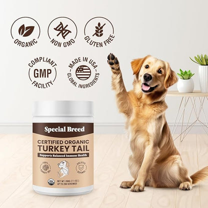 Turkey Tail Mushroom for Dogs and Cats - Certified Organic Turkey Tail Powder, Canine Immune Support, 200 Grams