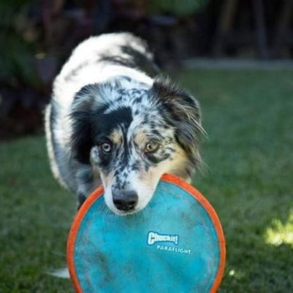 Chuckit! Kick Fetch Ball Dog Toy, Small (6 Inch) and ChuckIt! Paraflight Flying Disc Dog Toy, Large (9.75")