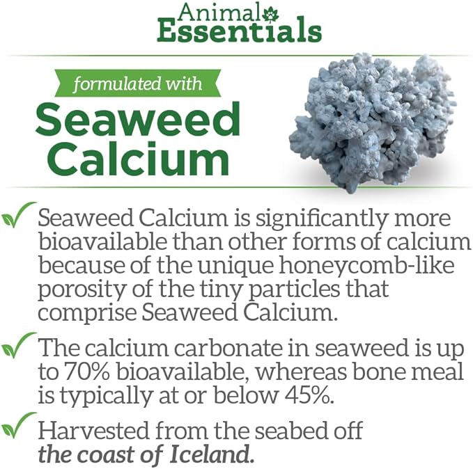 Animal Essentials Seaweed Calcium Supplement for Dogs & Cats, 12 oz (2-Pack), Iceland Seaweed Magnesium, Boron, Zinc
