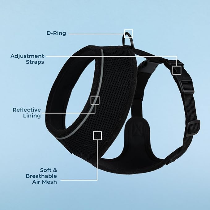 Aerolite No Pull Mesh Dog Harness with Lightweight, Soft, Breathable Chest Coverage, Reflective Stitching, and Adjustable Straps for Walking, Running, Training, Heavy Duty and Durable - Black, XL