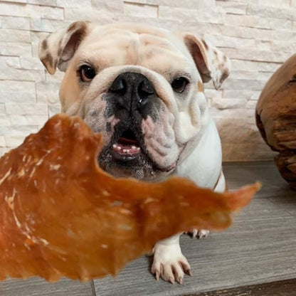 Dog Jerky Treats – Premium Turkey Breast – Dog Treats Made in USA Only. All Natural – Grain Free, No Preservatives – Turkey Jerky for Dogs & Cats – Irresistible Training Treat