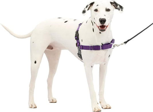 PetSafe Easy Walk Dog Harness - No Pull Dog Harness - Medium/Large, Deep Purple