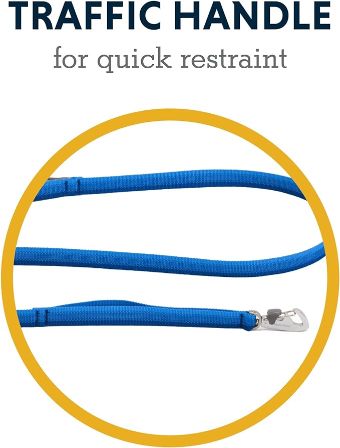 Ruffwear, Front Range Dog Leash, 5 ft Lead with Padded Handle for Everyday Walking, Blue Pool