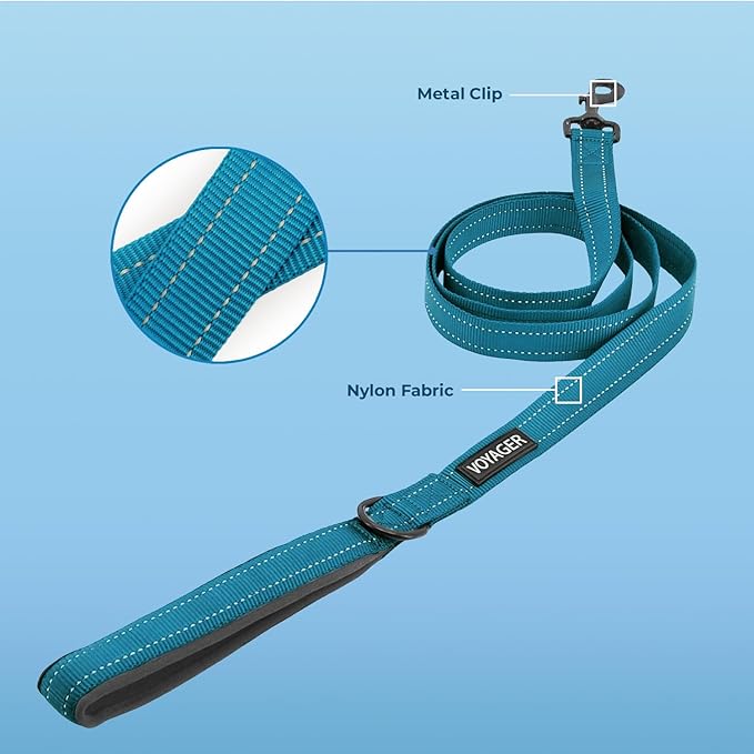 Voyager Reflective Dog Leash Collar Set with Neoprene Handle Supports Small, Medium, and Large Breed Puppies, Cute and Heavy Duty for Walking, Running, and Training - Turquoise, S