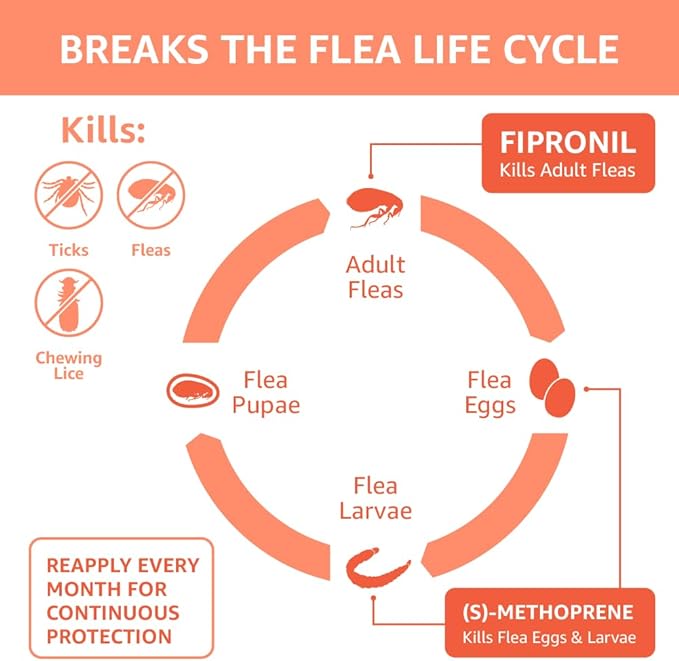 Amazon Basics Flea and Tick Topical Treatment for Small Dogs (5-22 pounds), 3 Count (Previously Solimo)