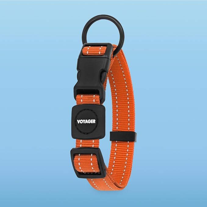 Voyager Reflective Dog Leash Collar Set with Neoprene Handle Supports Small, Medium, and Large Breed Puppies, Cute and Heavy Duty for Walking, Running, and Training - Orange, L