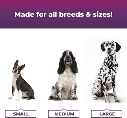 VetriScience Probiotic Everyday for Dogs, Duck Flavor, 120 Chews & Omega Plus Advanced Skin Supplement for Dogs, 40 Chews