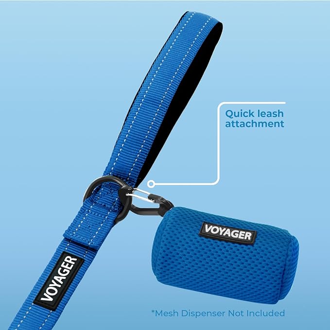 Voyager Reflective Dog Leash with Neoprene Handle, 5ft Long, Supports Small, Medium, and Large Breed Puppies, Cute and Heavy Duty for Walking, Running, and Training - Royal Blue (Leash), L