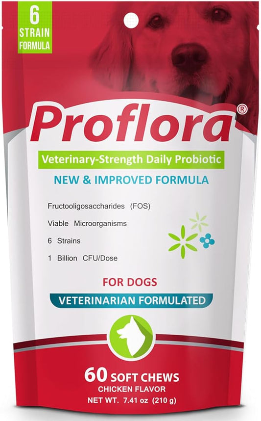 Proflora Probiotics for Dogs-Complete Gut Health & Immune Support. Easy to Use Digestive Multi-Strain Probiotics. Easier Diet Transitions, Healthier Skin & Coat & Helps Treat Diarrhea. 60 Soft Chews