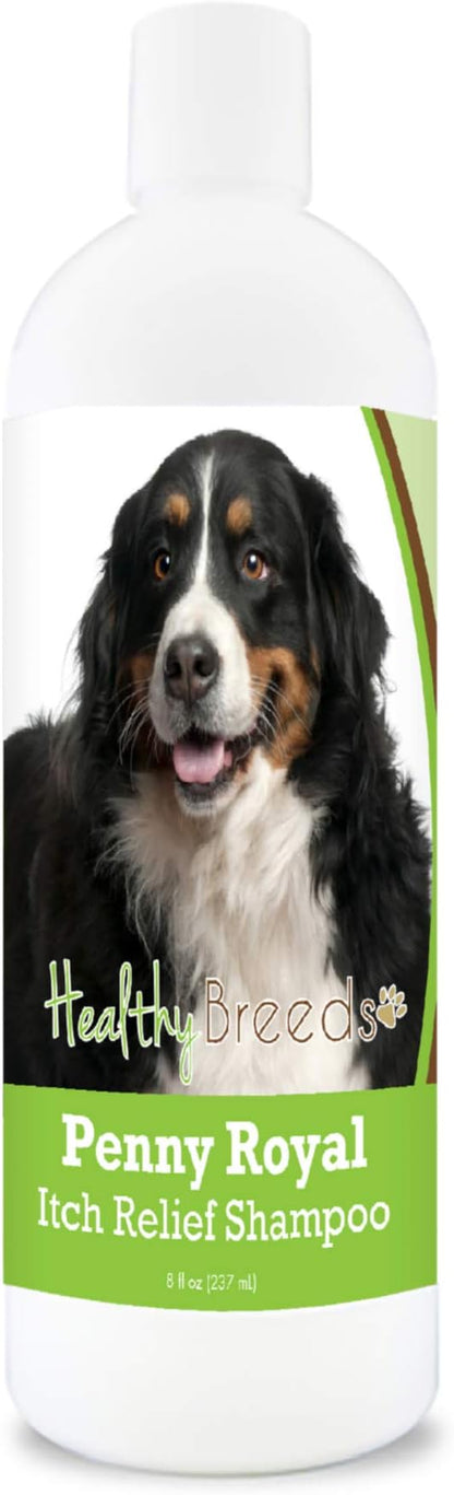 Healthy Breeds Bernese Mountain Dog Penny Royal Itch Relief Shampoo 8 oz