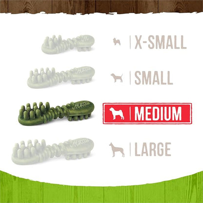 Merrick Fresh Kisses Natural Dental Chews Infused With Coconut And Botanical Oils For Medium Dogs 25-50 Lbs - 10 ct. Bag