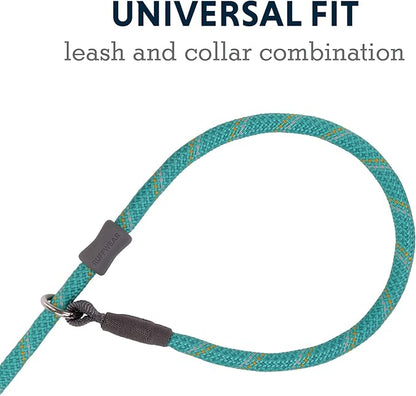 Ruffwear, Just-a-Cinch Dog Leash, 2-in-1 Lead Collar Combination, Aurora Teal