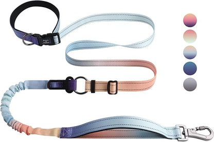 Roses&Poetry Hands Free Dog Leash Heavy Duty,No Pull Bungee Dog Running Waist Leash for Walking Training with Car Seatbelt 4-6FT