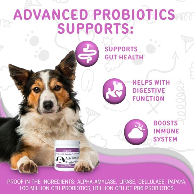 waggedy Advanced Probiotics Gut & Digestion Food Topper — Digestive Enzymes w/Papaya — Probiotic Powder — Cat & Dog Supplement Powder — Products for Dogs & Cats Over 6 Weeks (114g)