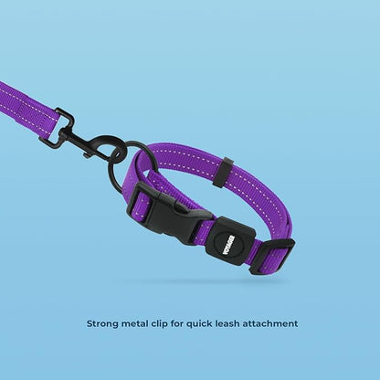 Voyager Reflective Dog Leash Collar Set with Neoprene Handle Supports Small, Medium, and Large Breed Puppies, Cute and Heavy Duty for Walking, Running, and Training - Purple, L