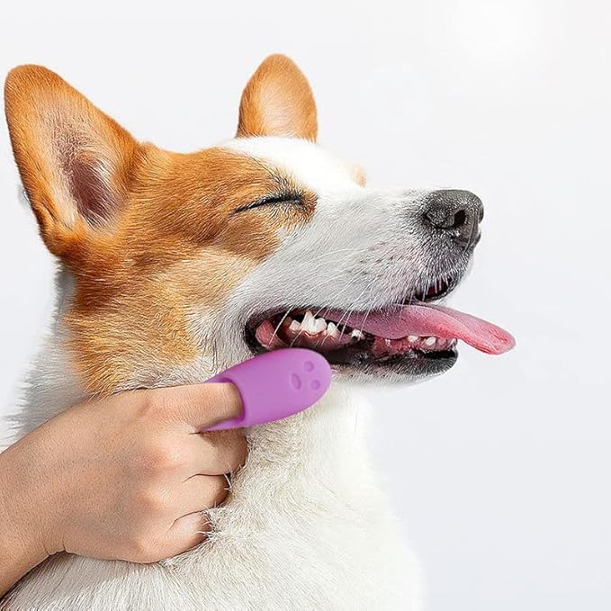 6Pcs Dog Finger Toothbrush Silicone Material Dog Toothbrush Easy Cleaning of Dental Stains Effective in Reducing Bacteria Suitable for Dental Care of Dogs, Cats and Other Small Pets