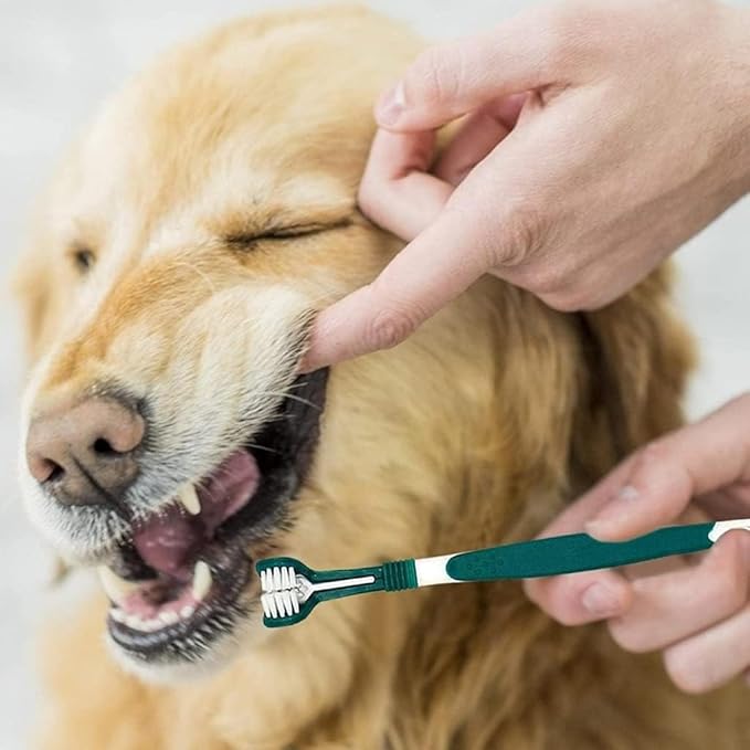 1Pc Green Dog Toothbrush, Triple Headed Toothbrush Dog Toothbrush for Pet, Dental Care, Dog Toothbrushes