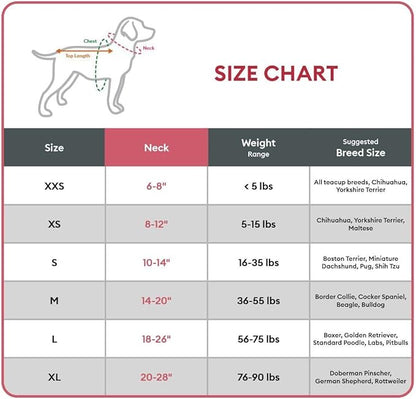 KONG Max HD Ultra Durable Neoprene Padded Dog Collar (Medium, Blue)