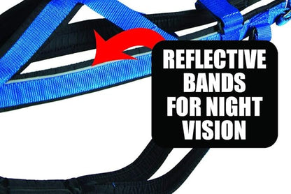 Neewa Adjustable Racing Harness (Medium, Blue) - Ideal for Dog Pull with Bike, Skateboard, Rollerblade, Cart, Canicross