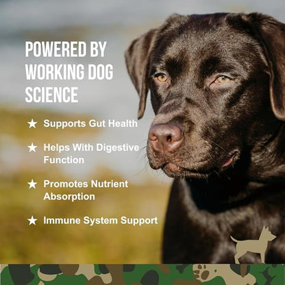 Operation Good Boy - SRE: Digestion Supplement/Probiotic for Pets - 90 Count Soft Chews - 12.7oz - Made Natural Ingredients - Veteran Owned