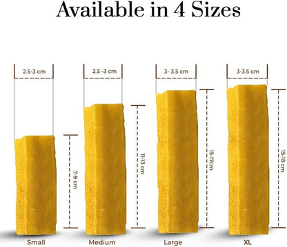 Dogsee Turmeric Flavor Himalayan Yak Cheese Dental Chews for Dogs 1lb (Medium - 6 Chews) | Anti-inflammatory | No Grain, No Gluten | Odorless Dog Treats