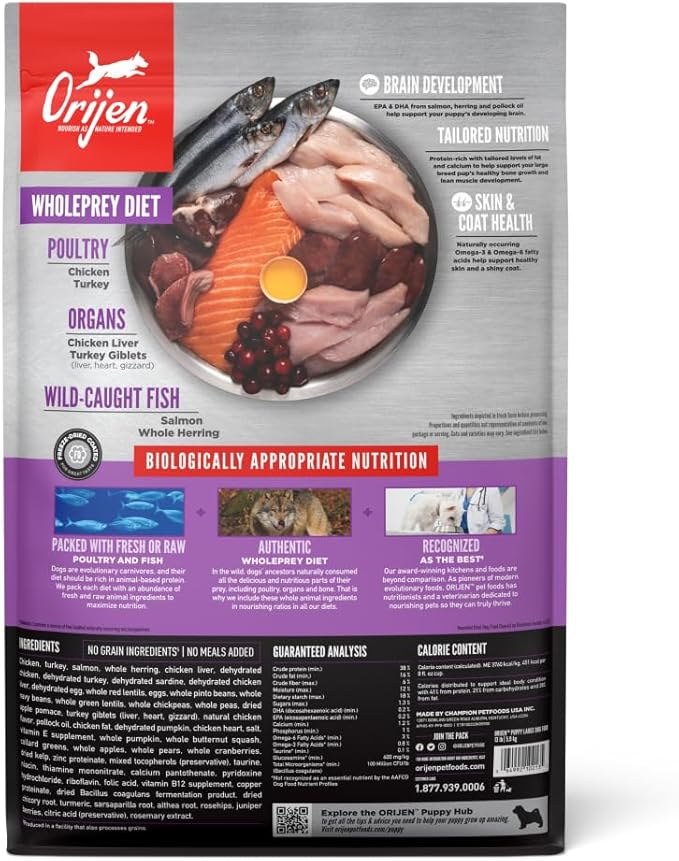 ORIJEN Dog Large Breed Puppy Recipe, 13lb, High-Protein Grain-Free Dry Puppy Food, Packaging May Vary