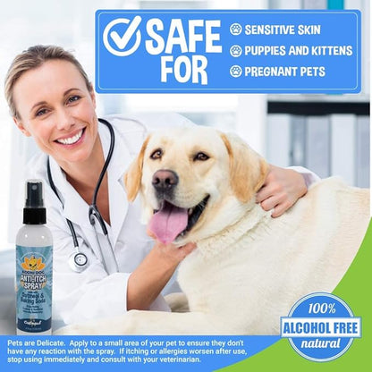 Bodhi Dog Anti Itch Spray | Soothing Relief for Dry, Itchy, Bitten or Allergy Damaged Skin Treatment | Anti Itch Spray for Dogs & Cats | Made in United States of America (Oatmeal, 4 oz)
