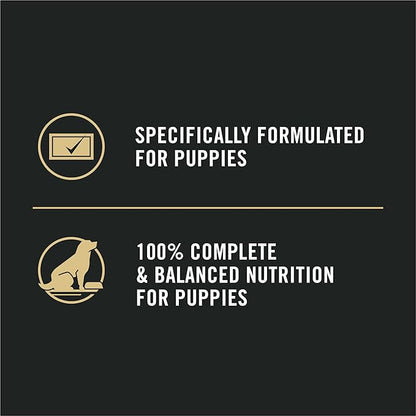 Purina Pro Plan Sport High Protein Puppy Food Beef & Rice Wet Formula - (Pack of 12) 13 oz. Cans