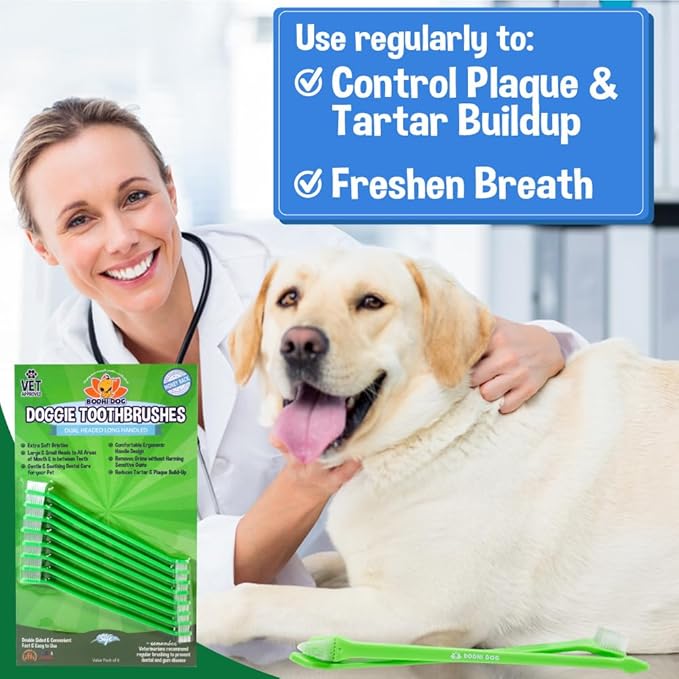 Bodhi Dog Dual-Headed Long Dog Toothbrush | Cat & Dog Toothbrush with Soft Bristles for Pet Dental Care | Easy Teeth Cleaning Pet Toothbrush, 8 Count
