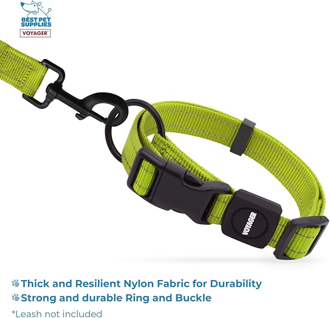 Best Pet Supplies Reflective Dog Collar with Adjustable Length, Heavy-Duty Buckle, and Strong Leash D-Ring, Training, Walking, Jogging Accessory for Small, Medium, and Large Breeds - Lime Green, S