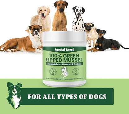 Green Lipped Mussels for Dogs & Cats - Premium Joint Supplement Powder for Hips, Joints, and Muscles (300 Grams, Up to 1,000 Servings)