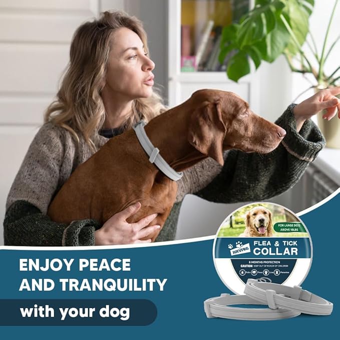 Dog Flea Tick Collar, Flea & Tick Prevention for Dogs, 8 Months Protection Dog Flea Collar, Adjustable Collar Fits Large Dogs & Puppies, Flea Treatment Collar for Dogs 2 Pack