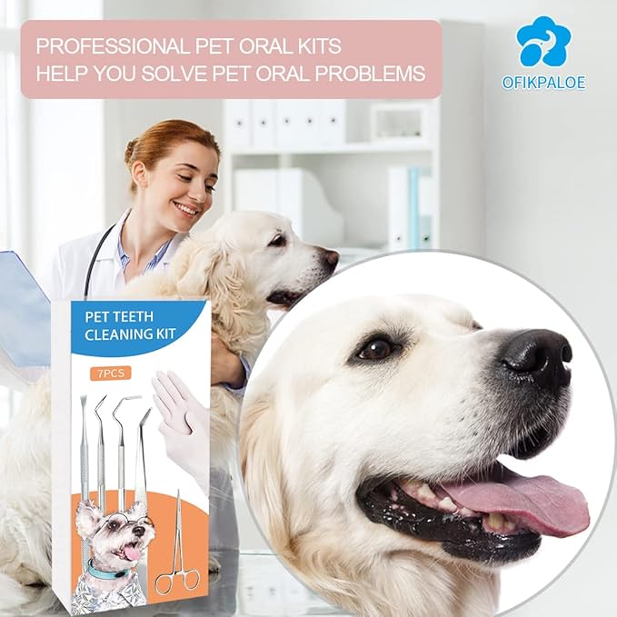 Dog Teeth Scaler, Double Headed Spatula, Stainless Steel, Tartar Remover Pet Teeth Cleaning Tool for Dogs and Cats (7pcs)