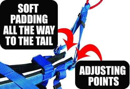 Neewa Adjustable Racing Harness (Medium, Blue) - Ideal for Dog Pull with Bike, Skateboard, Rollerblade, Cart, Canicross