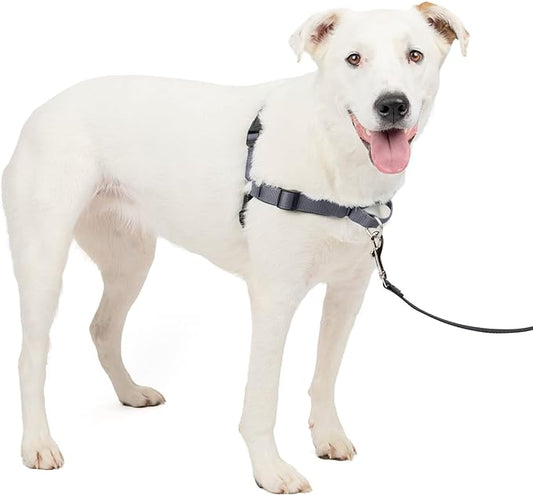 PetSafe® Deluxe Easy Walk® Dog Harness, No Pull Harness, Stop Pulling, Great For Walking and Training, Comfortable Padding, For Medium Dogs- Steel/Black, Medium/Large