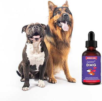 Premium DMG for Dogs – DMG Liquid to Support Immune Health, Skin, Stamina, Muscles, Stress & Performance - Dimethylglycine (DMG) for All Ages, Sizes & Breeds – 4oz