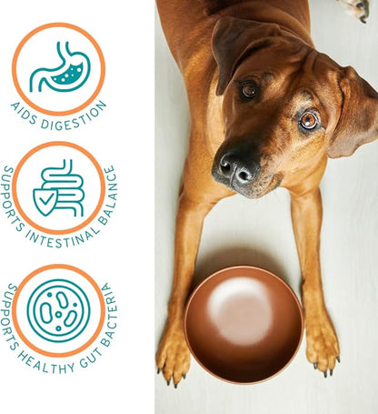Approx 120 Servings of Dog Probiotic Powder - Dog Probiotics and Digestive Enzymes - Enzyme Supplement for Dogs - Dog Digestive Support - Made in The USA