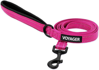 Voyager Reflective Dog Leash with Neoprene Handle, 5ft Long, Supports Small, Medium, and Large Breed Puppies, Cute and Heavy Duty for Walking, Running, and Training - Fuchsia (Leash), L