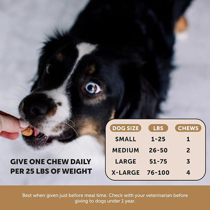 Pet Honesty Flea and Tick Prevention for Dogs Supplement - Natural Flea and Tick Chews for Dogs, Oral Flea Pills, No Harsh Chemicals, Natural Way to Enjoy The Outdoors - Bacon (90 Count)