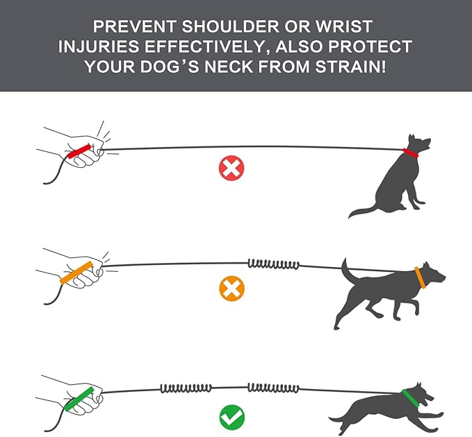 Pecute Hands Free Dog Leash, Waist Dog Running Leash with 2 Shock-Absorbing Bungees, Padded Back, Multi Pouches, Reflective Waist Dog Leash for Medium to Large Dogs Walking Running Hiking