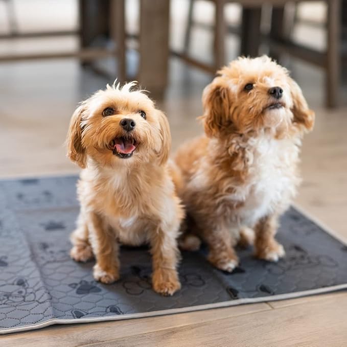 Washable Pee Pads for Dogs (2-Pack) Large 28 in x 35 in, Reusable Quilted Pet Training, Dark Gray Floor Mat Absorbent Whelping Potty and Crate Liner (DK Gray)