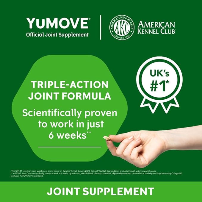 Adult Dog Tablets | for Dogs Aged 5 to 8 | Dog Hip and Joint Supplement with Glucosamine, Hyaluronic Acid & Green Lipped Mussel, Perfect for Adult Dogs (60 Tablets)