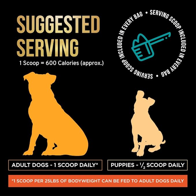 PET CARE Science 5 lbs Servings of Dog Weight Gainer - Weight Gain Supplements for Dogs - Canine and Dog Muscle Builder - Dog Protein Powder - High Calorie Dog Food Supplement