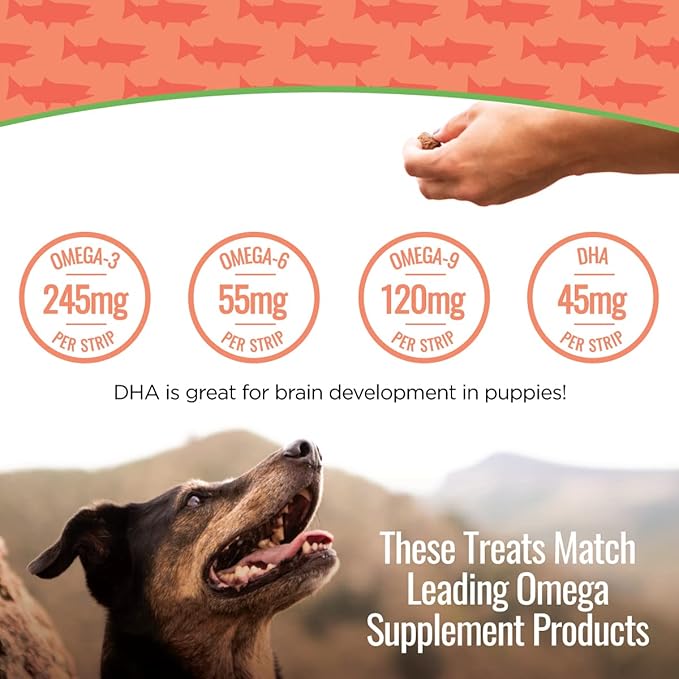 Salmon Jerky Dog Treats - DHA, Omega Strips for Dogs & Puppies with Allergies, Sensitive Stomachs with Wild Caught Alaskan Salmon- Dehydrated, Grain Free, Made in USA - 3oz Bag, Pack of 3