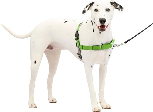 PetSafe Easy Walk Dog Harness - No Pull Dog Harness - Medium/Large, Apple Green