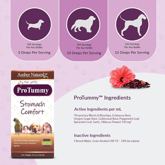 Amber NaturalZ ProTummy Stomach Comfort Herbal Blend for Dogs, Bird, Guinea Pigs, and Rabbits | Herbal Supplement for Occasional Upset Stomach | 4 Fluid Ounce Glass Bottle | Manufactured in The USA