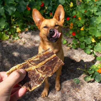Visionary Pet Foods - Organic Beef Jerky Dog Treats | Grain Free, Healthy and Natural Pet Snacks | Training Treats or Chewable Dental Dog Snack for Small, Medium or Large Breeds 10oz Bag, 248g